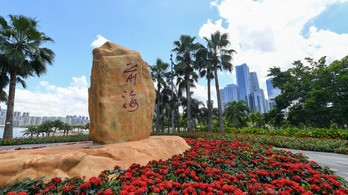 【国际锐评】中国的“关键一招”对世界有多重要？_fororder_在广东省深圳市前海拍摄的前海石（2025年01月21日摄）